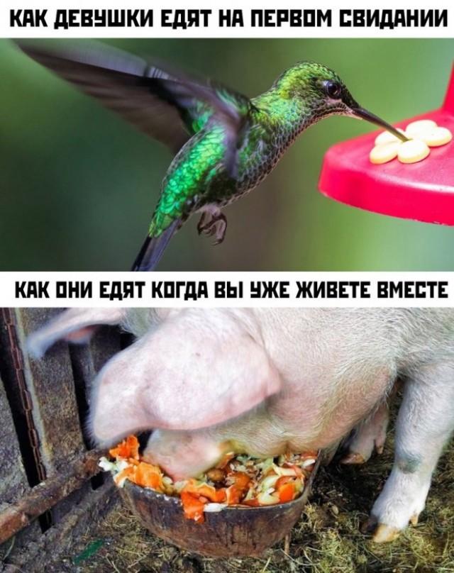 Картинки и мемы, всем прекрасных выходных