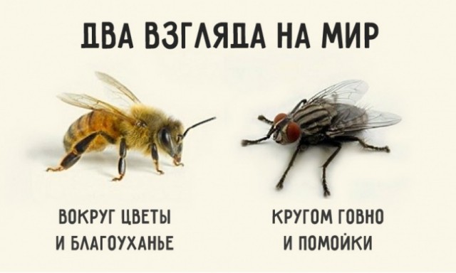 Одуван. Не правду говорит?