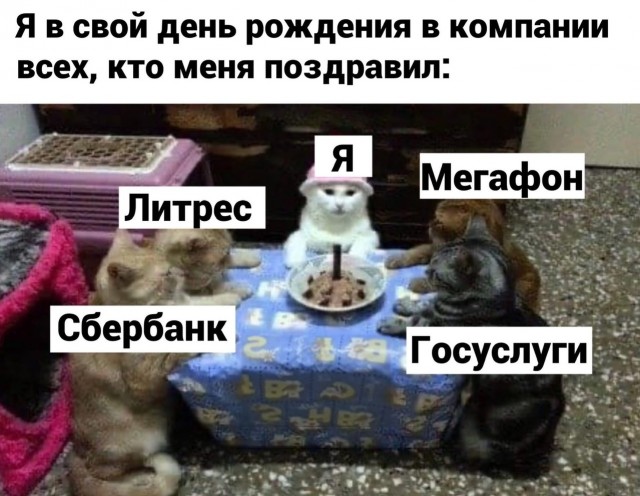 Так себе картинки 28.11.21