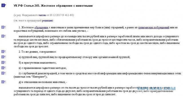 Женщина в Крымске в минусовую погоду специально принесла и оставила на остановке пакет с маленьким щенком