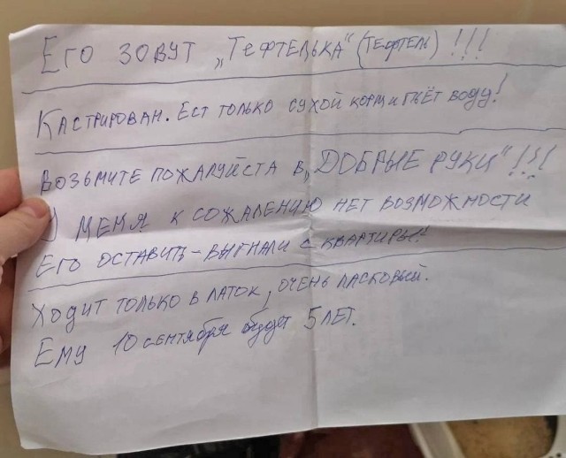 Под Одинцово жители многоэтажки нашли в подъезде переноску с котиком и записку
