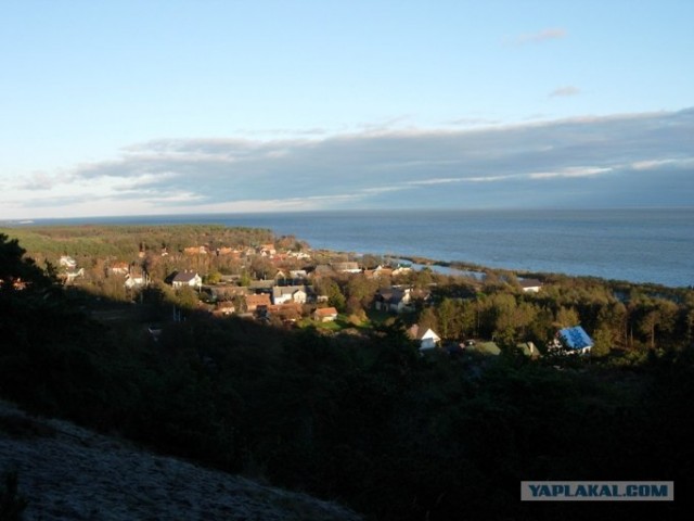 Куршская коса