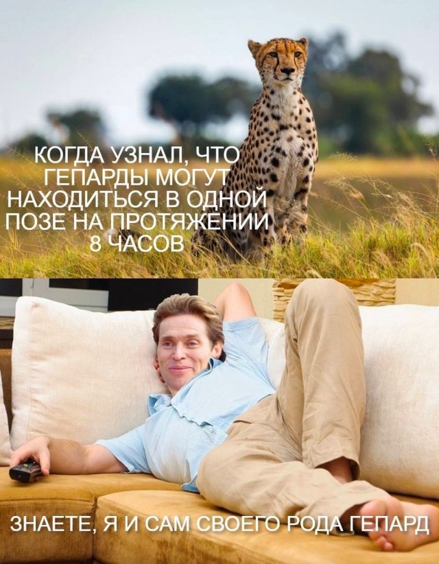 Так себе картинки 06.06.22