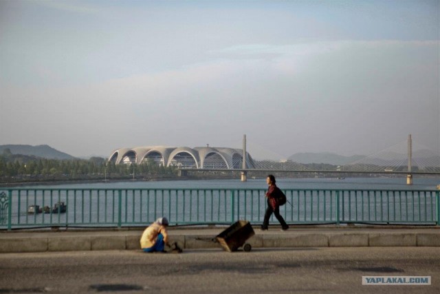 Северная Корея "в цвете"