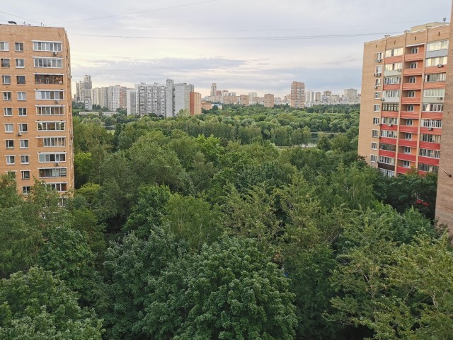 А какой у тебя вид из окна?