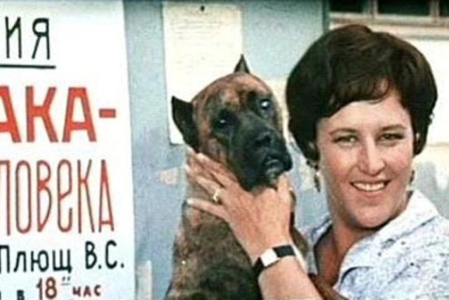 Собаки в кино