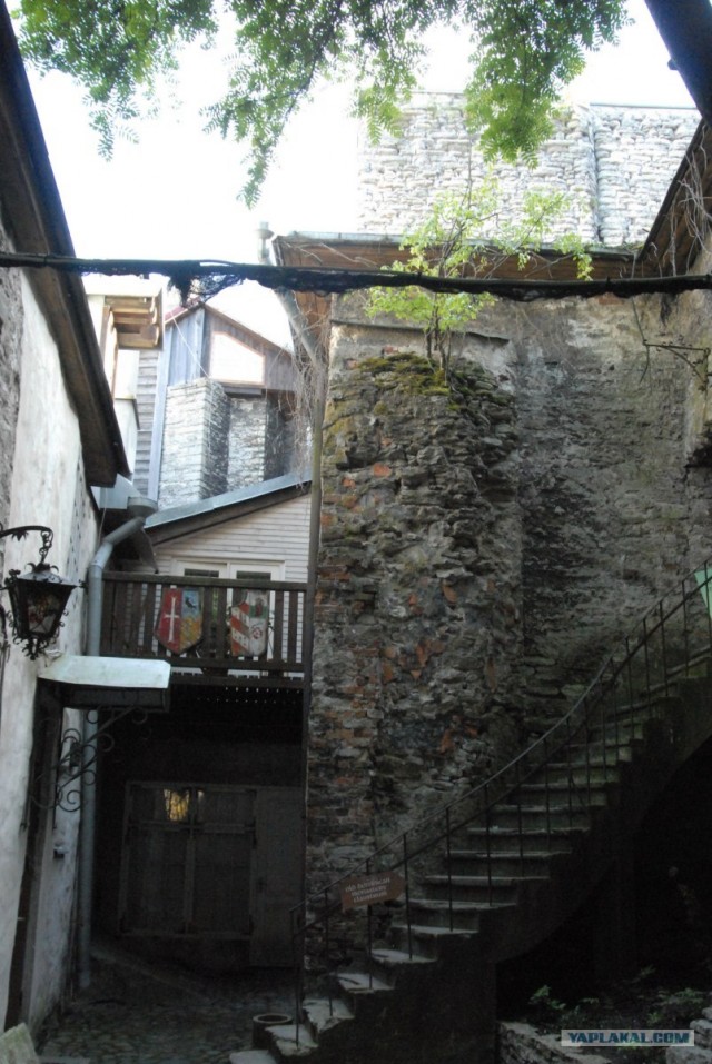 Спб-Таллин-Хельсинки-Спб