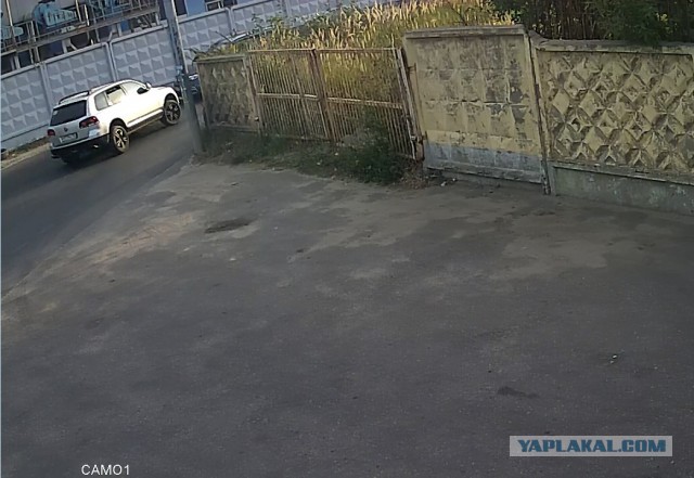 Ушлёпок на туареге