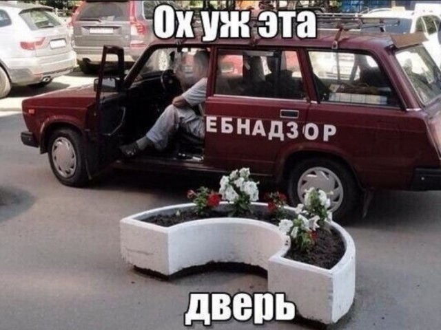 Весёлый полтишок 08.09.22