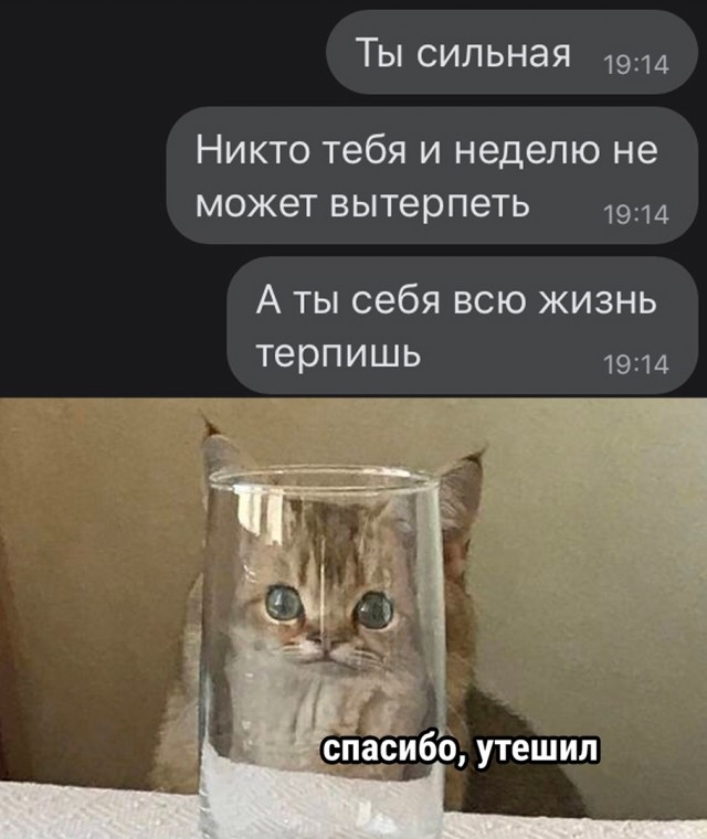 Так себе картинки 18.09.22