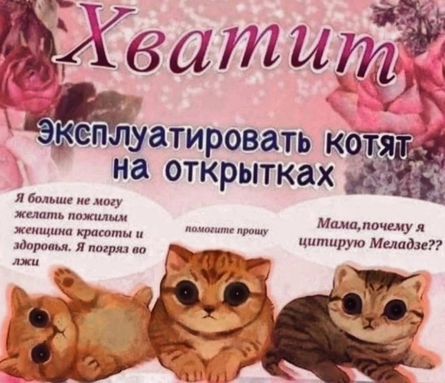 Так себе картинки 25.11.22