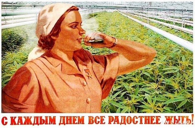 Прикольные и просто красивые картинки 31.01.2023
