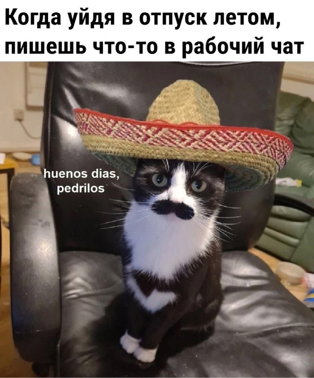 Всем хороших выходных - картинки, мемы и т.п.