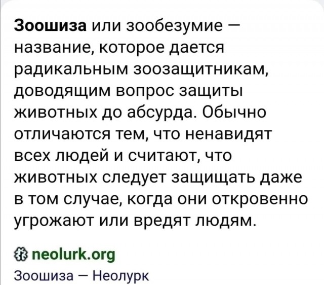 В Воронеже стая бездомных собак напала на ребёнка