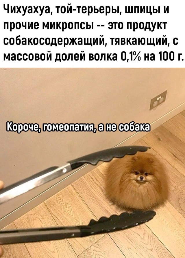 Среда пришла - неделя прошла, дорогие деграданты