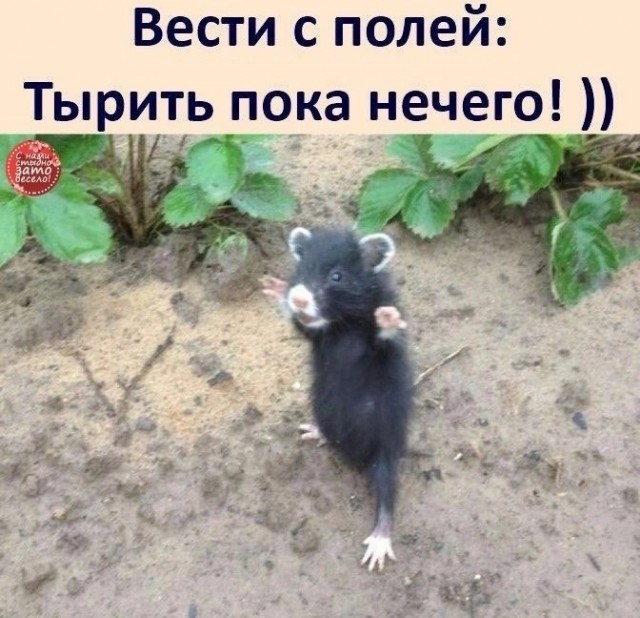 Немного картинок и прочей хреноты Vol. 23