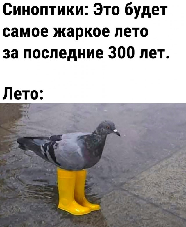 Так себе картинки 16.07.23