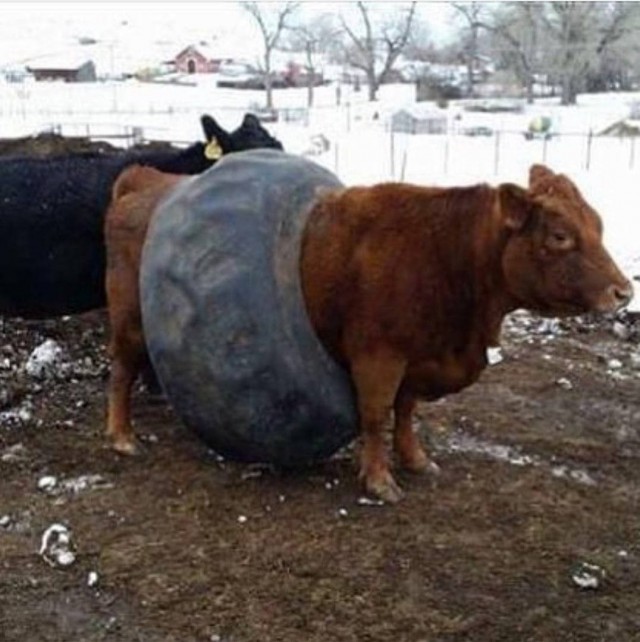 Визуальный микс