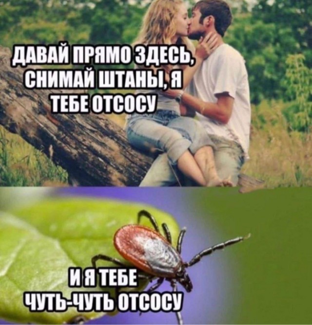 Отряд быстрого деградирования