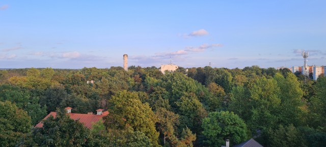 Красивые фото ЯПа