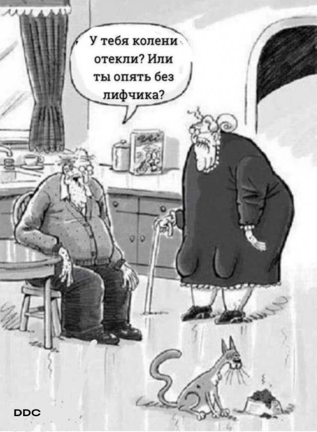 Мемчики и картинки для настроения и подумать
