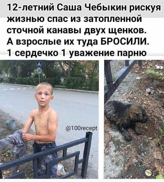 Прикольные комменты и картинки