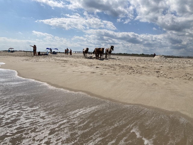 Подборка интересных и веселых картинок 12.02.24