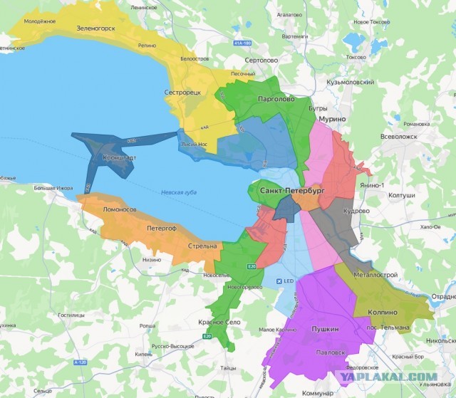 Санкт-Петербург и очереди на маршрутки