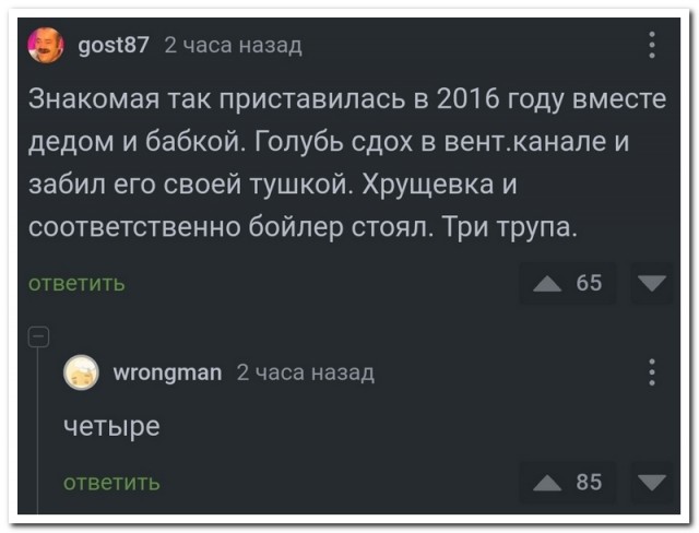 Забавные комментарии из социальных сетей (28.05.24)