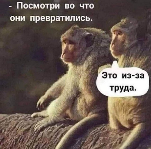 Всего понемногу. От 29.06.2024