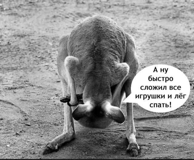 Завалялось тут случайно немного забавных картинок