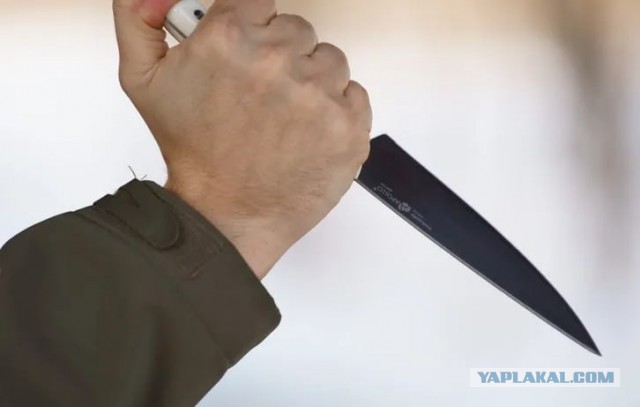 В Реутове предотвратили нападение на школу, которое готовил десятиклассник