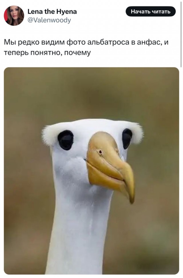 Так себе картинки 03.03.25