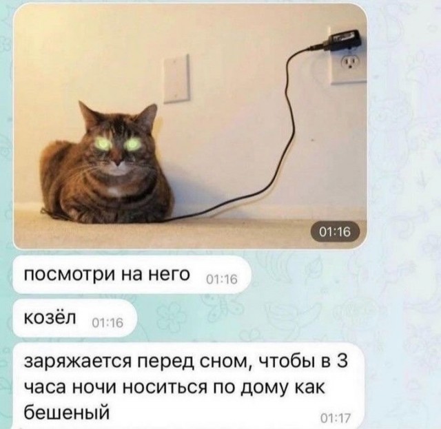 Завалялось тут случайно немного забавных картинок