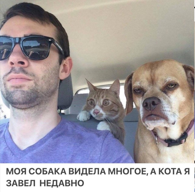 Картинки ниапчём и обо всём-2