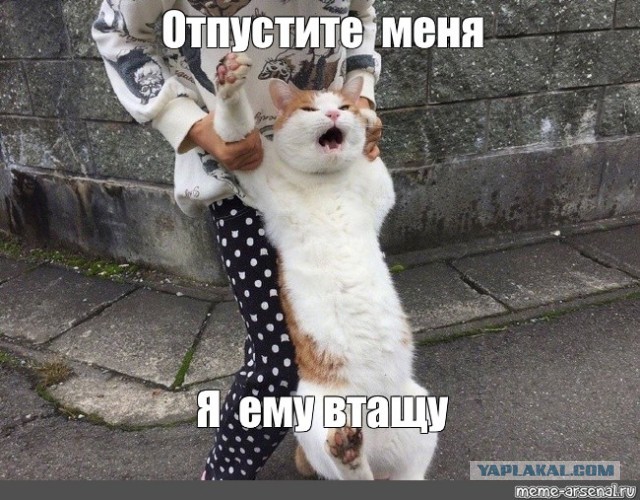 Рыжий саблезубый
