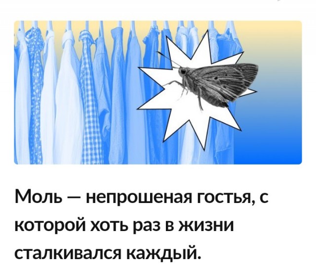 Самые опасные бабочки