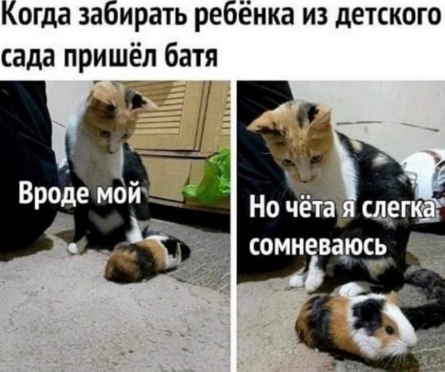Дело житейское