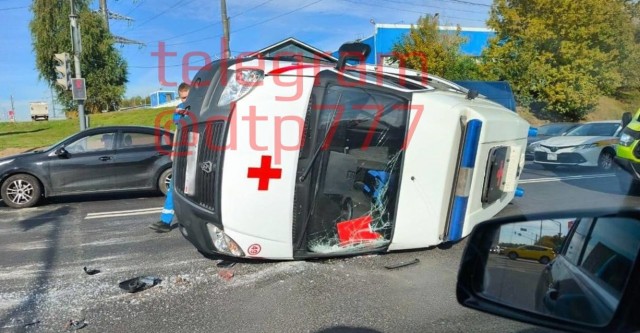 Клетки, клетки....