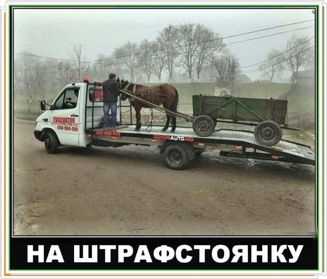 Субботние картинки