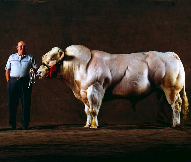 150 кг массы от перспективного российского бодибилдера Сергея Данилова.