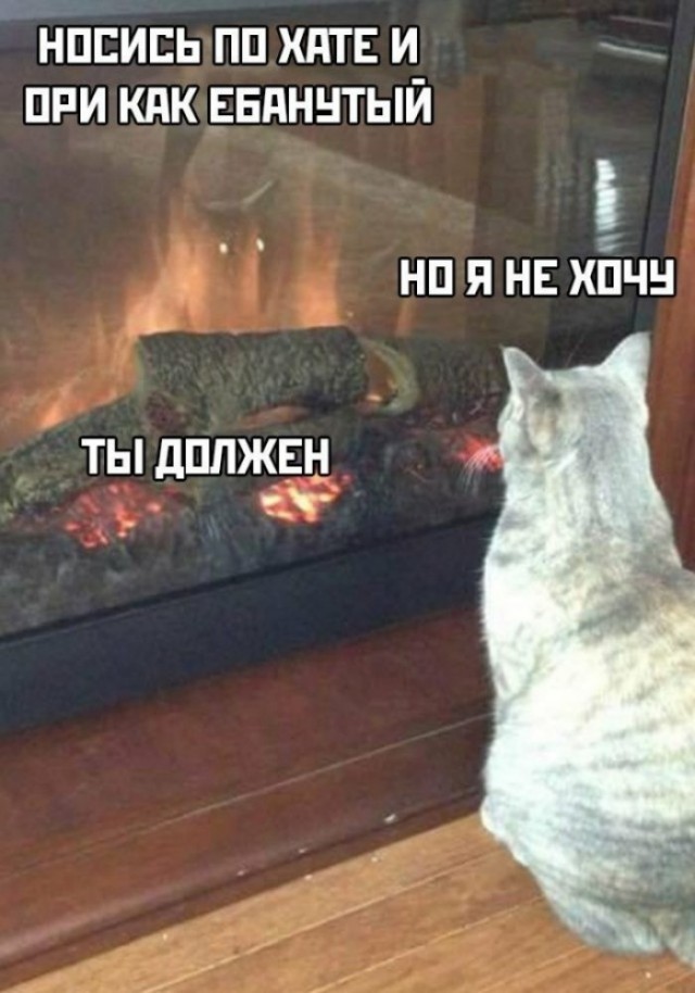 Всё таки оранжевые немного с прибабахом