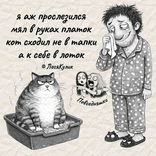 Тема дня