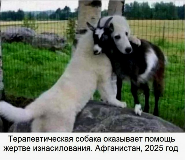 Предварительные ласки.