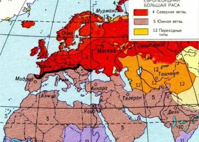Основные фенотипы распространенные среди славянского населения Российской Федерации, Беларуси, Украины и Польши.