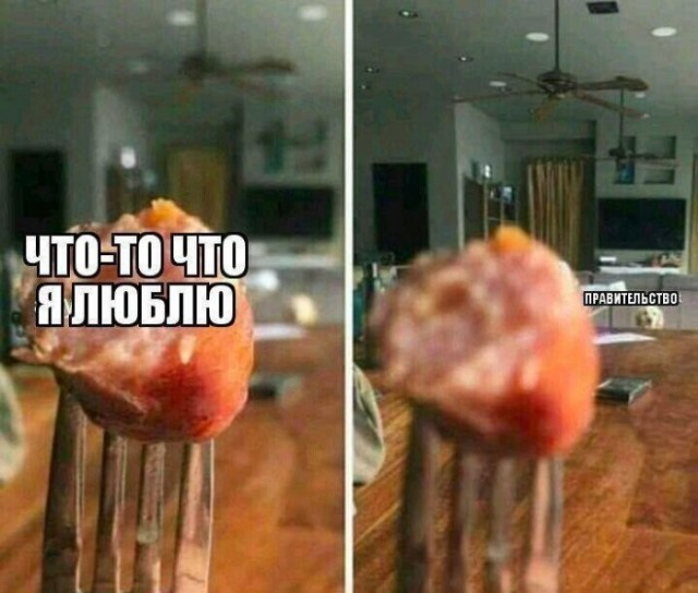 Веселые картинки в последний день лета (31.08)