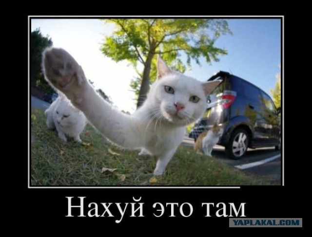 Маккейн ответил Путину!