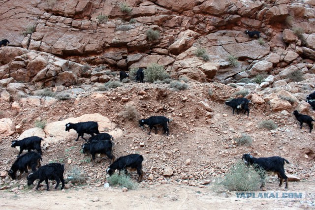 Новогодняя ночь в пустыне Сахара