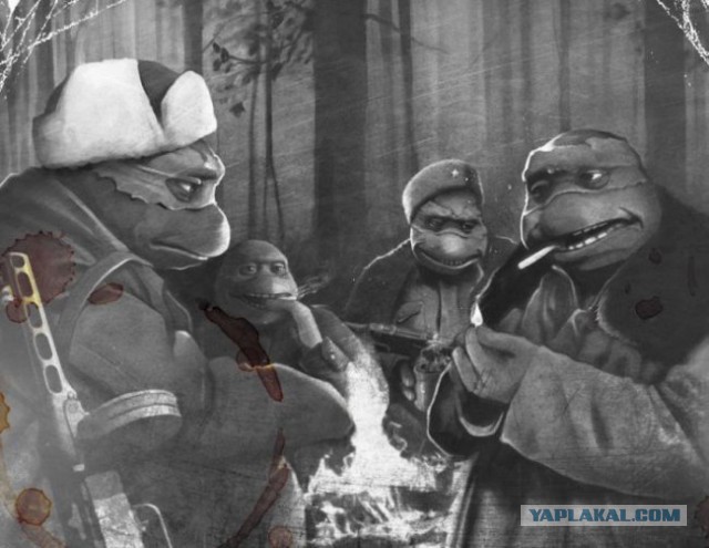 Правильные черепашки ниндзя