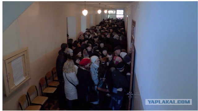 Выборы в Новороссии